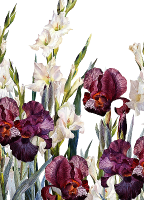 Store fenêtre intérieur petites fleurs