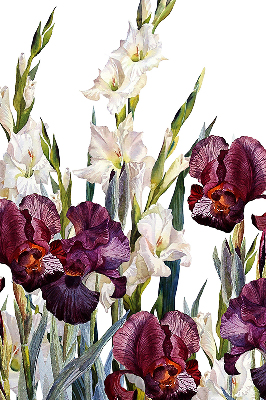 Store fenêtre intérieur petites fleurs