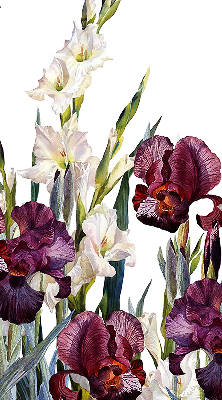 Store fenêtre intérieur petites fleurs