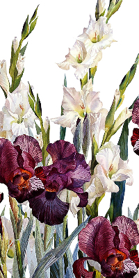 Store fenêtre intérieur petites fleurs