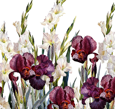 Store fenêtre intérieur petites fleurs