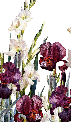 Store fenêtre intérieur petites fleurs