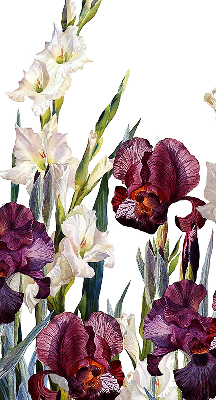 Store fenêtre intérieur petites fleurs