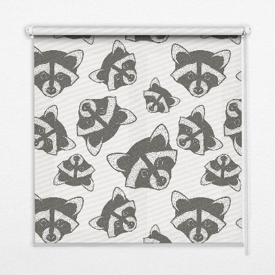 Store occultant fenetre avec motif de ratons laveurs dessinés