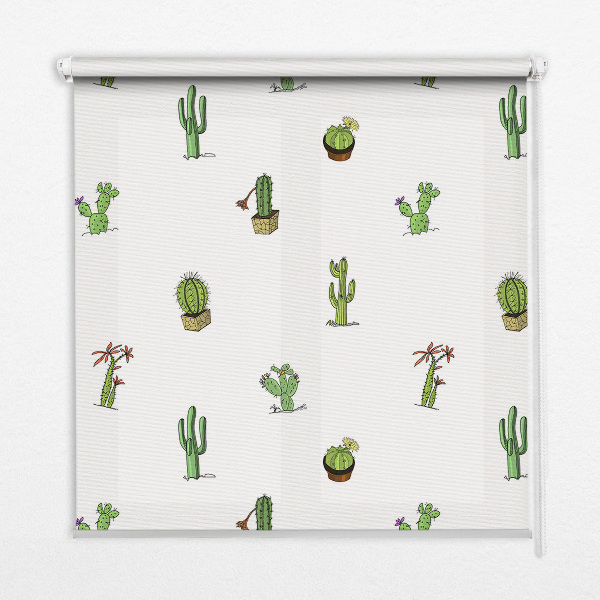 Store fenêtre intérieur cactus
