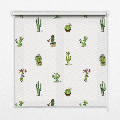 Store fenêtre intérieur cactus