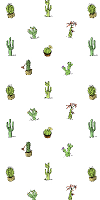 Store fenêtre intérieur cactus