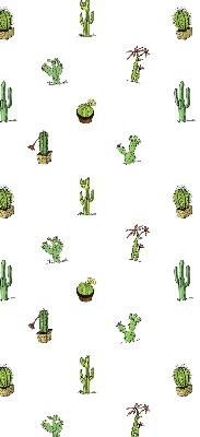 Store fenêtre intérieur cactus