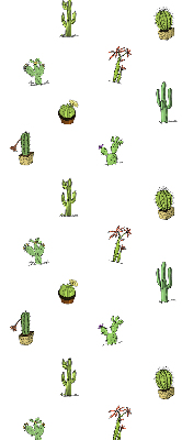 Store fenêtre intérieur cactus