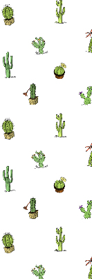 Store fenêtre intérieur cactus