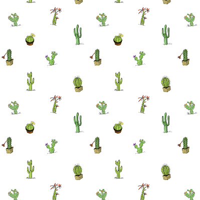 Store fenêtre intérieur cactus
