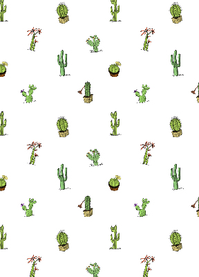 Store fenêtre intérieur cactus