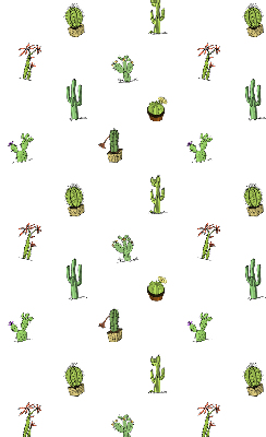 Store fenêtre intérieur cactus