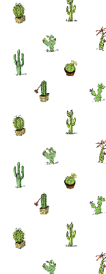 Store fenêtre intérieur cactus