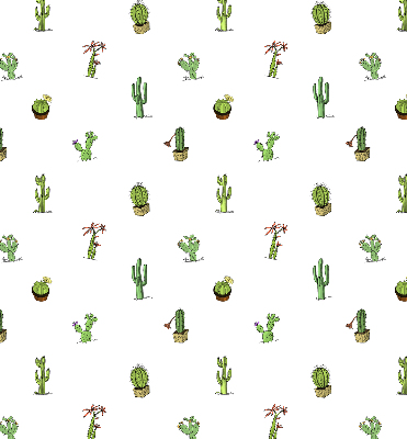 Store fenêtre intérieur cactus
