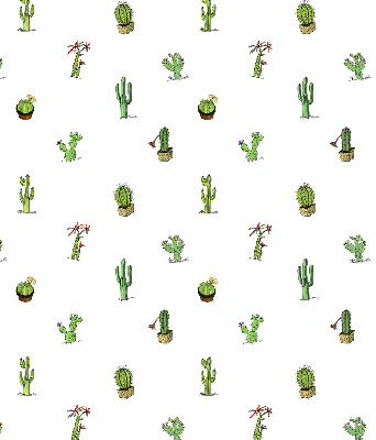 Store fenêtre intérieur cactus