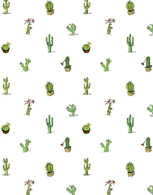 Store fenêtre intérieur cactus