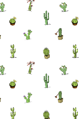 Store fenêtre intérieur cactus