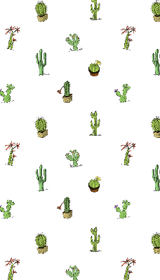 Store fenêtre intérieur cactus