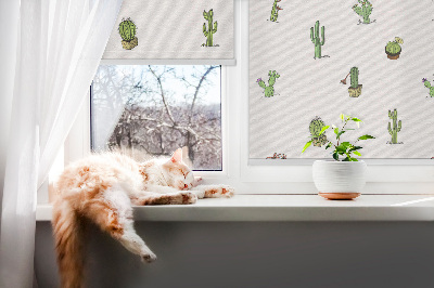 Store fenêtre intérieur cactus