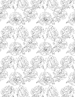 Store occultant fenêtre à motif de roses dessinées