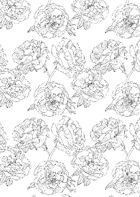 Store occultant fenêtre à motif de roses dessinées