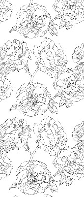 Store occultant fenêtre à motif de roses dessinées