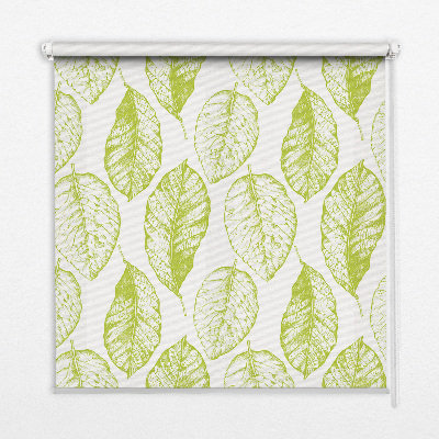 Store fenêtre intérieur avec feuilles de citron vert