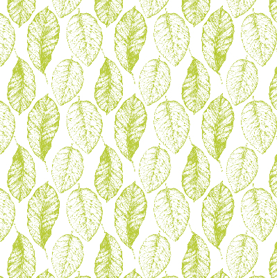 Store fenêtre intérieur avec feuilles de citron vert
