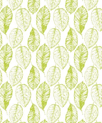 Store fenêtre intérieur avec feuilles de citron vert