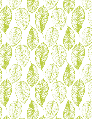 Store fenêtre intérieur avec feuilles de citron vert