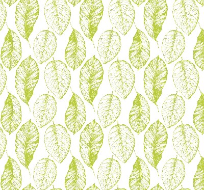 Store fenêtre intérieur avec feuilles de citron vert