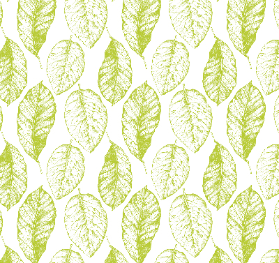 Store fenêtre intérieur avec feuilles de citron vert