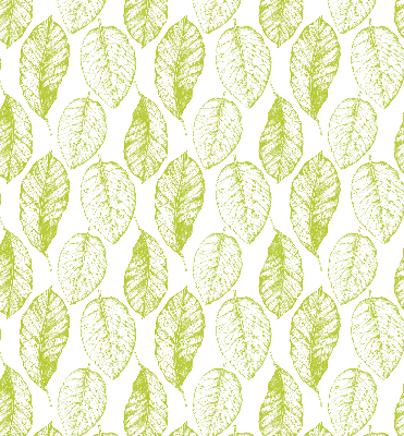 Store fenêtre intérieur avec feuilles de citron vert