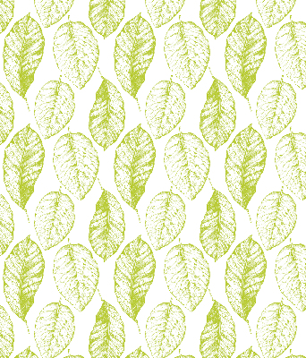 Store fenêtre intérieur avec feuilles de citron vert