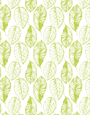 Store fenêtre intérieur avec feuilles de citron vert