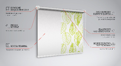 Store fenêtre intérieur avec feuilles de citron vert