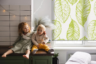 Store fenêtre intérieur avec feuilles de citron vert