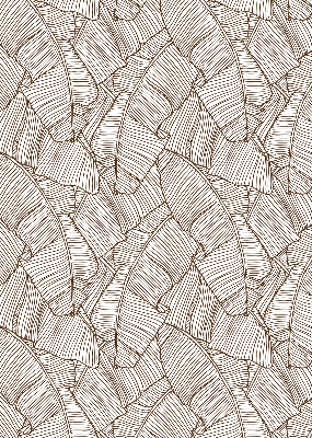 Store occultant fenêtre avec feuilles de palmier dessinées