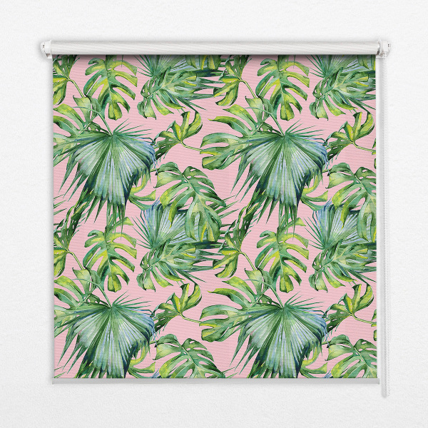 Store fenêtre intérieur avec variétés de feuilles tropicales
