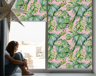 Store fenêtre intérieur avec variétés de feuilles tropicales