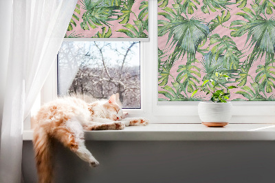 Store fenêtre intérieur avec variétés de feuilles tropicales
