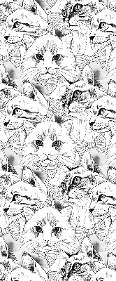 Store fenêtre intérieur avec chats dessinés