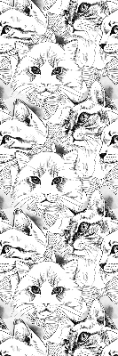 Store fenêtre intérieur avec chats dessinés