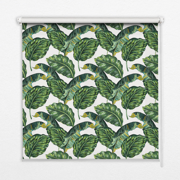 Store occultant fenêtre feuilles exotiques