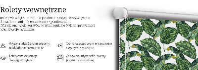 Store occultant fenêtre feuilles exotiques