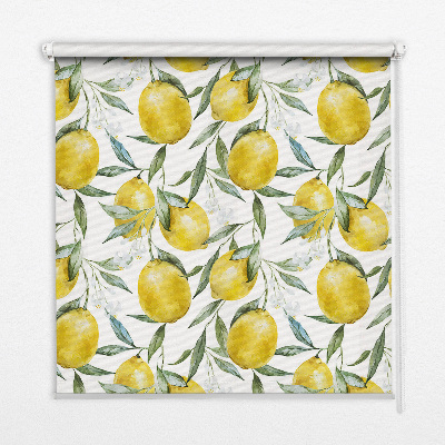Store fenêtre intérieur pour citrons