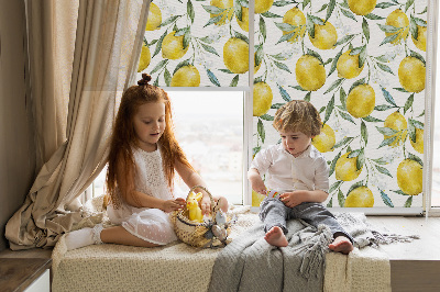 Store fenêtre intérieur pour citrons