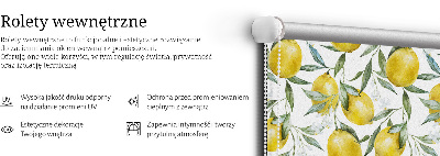 Store fenêtre intérieur pour citrons