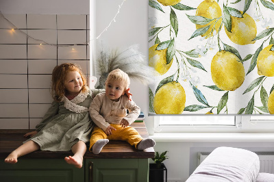 Store fenêtre intérieur pour citrons